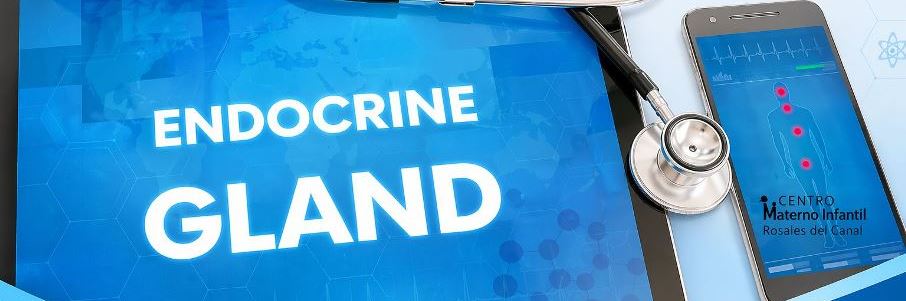 Los disruptores endocrinos